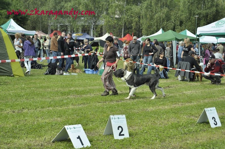 m__DSC0879.jpg