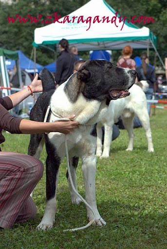 2010-09-04DSC_0042.jpg