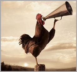 goodmorning-rooster-crowing