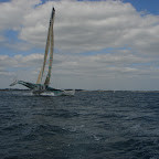 sortie trimaran 60 pieds + régates en J80 devant la Trinité