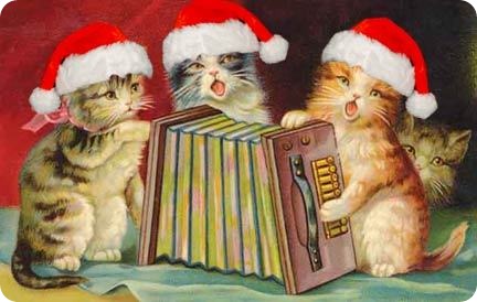 choir cats
