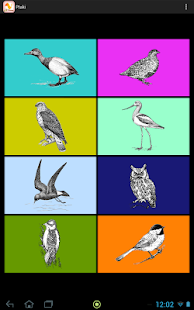 Lastest Polish Birds APK for Android