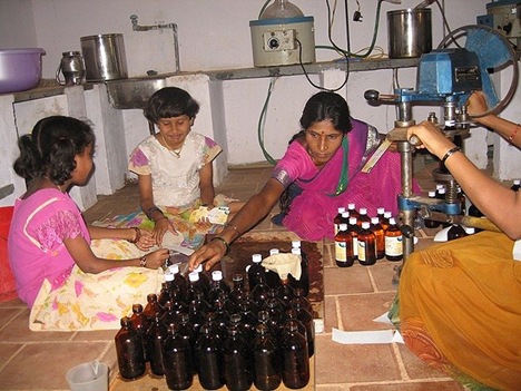 Bottling cow urine products