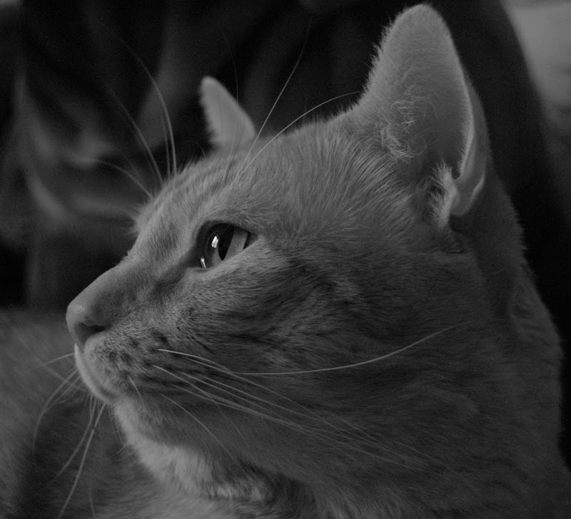 DSC_0027.JPG