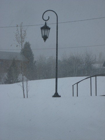 [2010-04-13 More SNOW 1739[4].jpg]