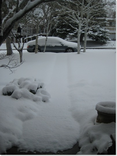 2009 March 26  Snow 001