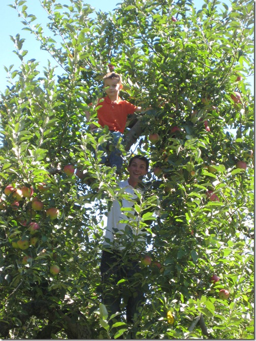 2010-09-11 911, agent, apple picking  3964
