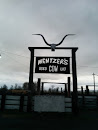 Mentzers Used Cow Lot