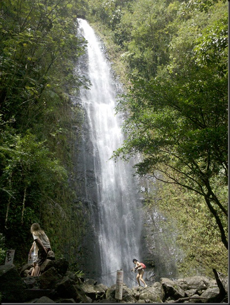 Manoa Falls (15)