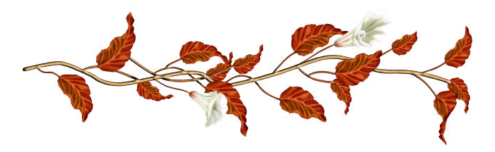 1225696192.png
