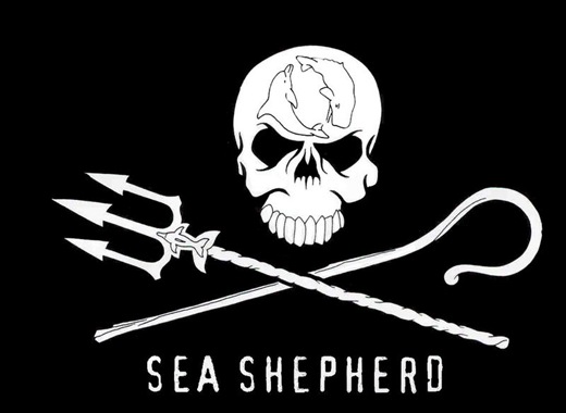 sea-shepherd2