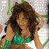 Bollywood Actress Nisha Kothari Images