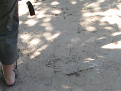 [IMG_48734.jpg]