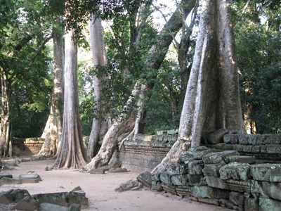 [IMG_56123.jpg]