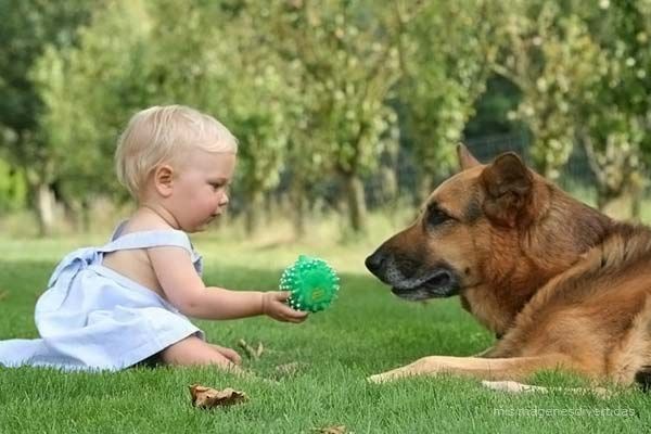 [1 - niños con perros misimagenesdivertidas  (12)[3].jpg]