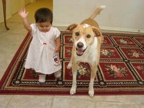 [1 - niños con perros misimagenesdivertidas  (13)[3].jpg]