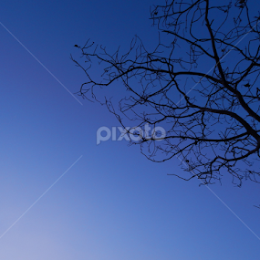Sky by Mukesh Mishra - Abstract Patterns