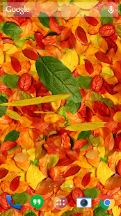 Autumn leaves 3D LWP(圖1)-速報App