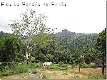 Pico do Penedo dez09