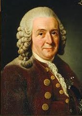 Carl Linnaeus-Father of Taxonomy