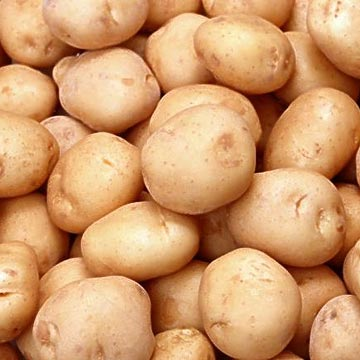 [potatoes.png]