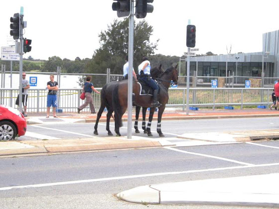 Horses turning right