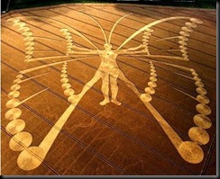 butterfly-crop-circle