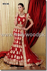 latest pakistani fashion. indian fashion. latest dressses. paki girls. desi girls. indian desi girls (3)