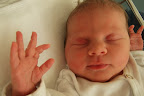dscf6687.jpg