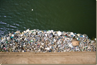 The garbage had created an actual dam. Yuck.