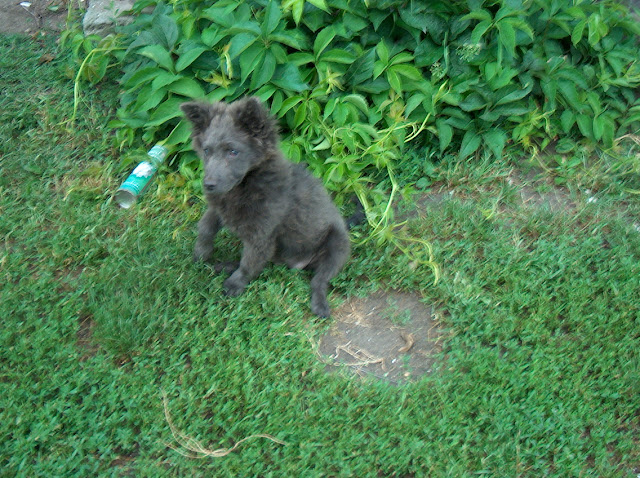 HPIM0498.JPG