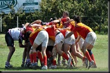 rugby5