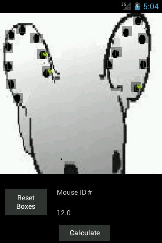 Mouse Ears ID Ear Notch - 3