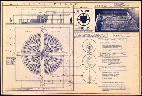 Revival Field / Mel Chin and Rufus L. Chaney