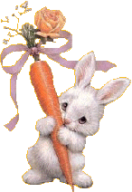[bunny-carrot-gift[2].gif]