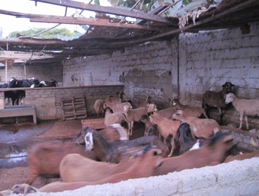 IMG_3126 IMG_3126