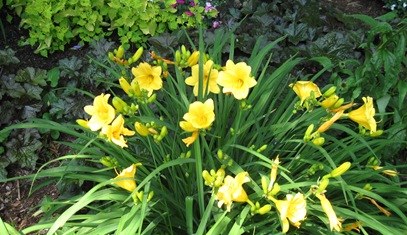 IMG_3897 IMG_3897