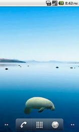 Manatee Side Sticker poster 1