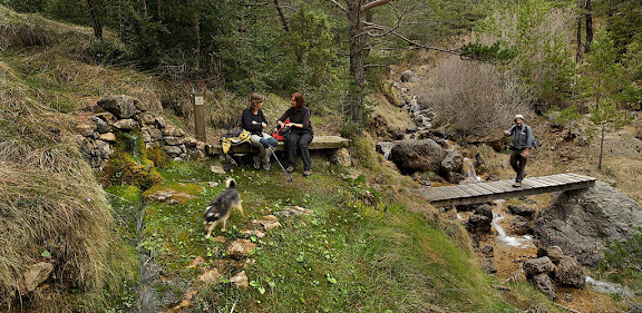 Font de Pallerols, al costat del torrent d'Ordoll, vessants de la roca de Canalda, serra de Querol, port del Comte, Odn, Solsons, Lleida