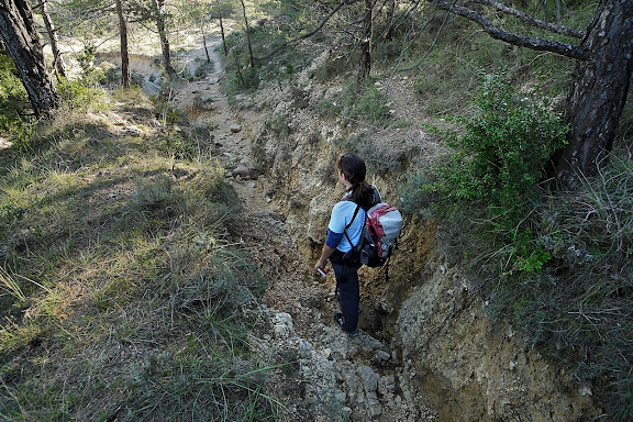 Erosió a l'antic camí ral de Reus a  Prades sota el coll de les Saleres.Serra de la Mussara, Muntanyes de Prades.Vilaplana, Baix Camp, Tarragona