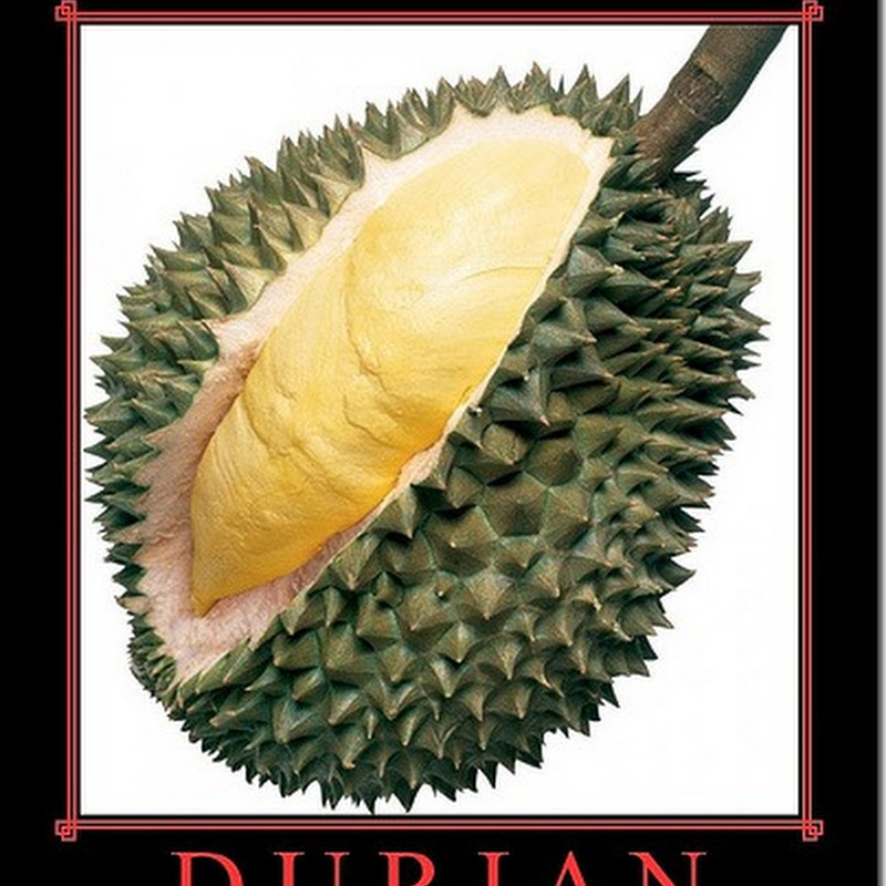 La fruta más apestosa del mundo, el durián