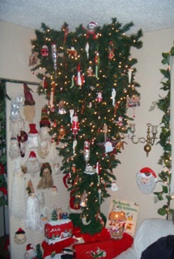 arbol -1 (8) arbol -1 (8)