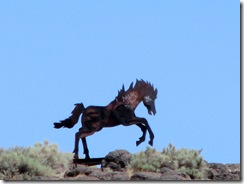 5186 Wild Horses Monument WA