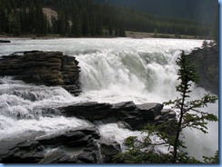 9961 Athabasca Falls  Jasper National Park AB