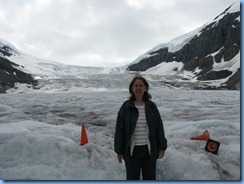 10143 Athabaska Glacier Columbia Ice Field Jasper National Park AB