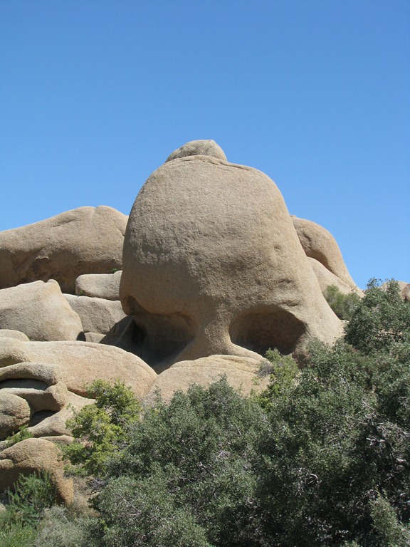 [2925 Skull Rock Joshua Tree National Park CA[3].jpg]