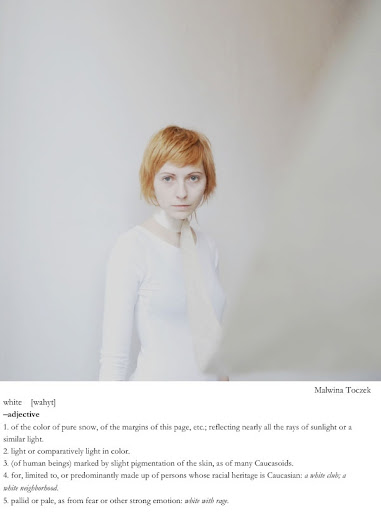 the photographic dictionary