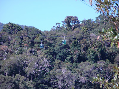 A view of the Skyrail Cableway taken from rail car