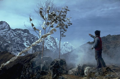 Everest - Sherpa boy dedicates a prayer flag tree