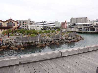 We Wound Our Way Back to Ship Along the Shoreline at the Aotea Quay